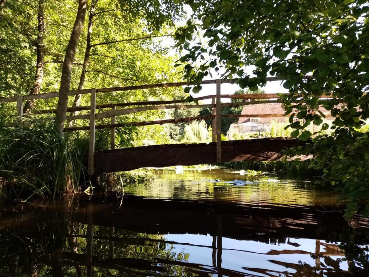 Trainefeuilles - Chambres D'Hotes Proche Zoo De Beauval Le Controis-en-Sologne Esterno foto