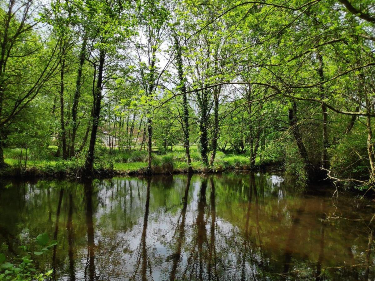 Trainefeuilles - Chambres D'Hotes Proche Zoo De Beauval Le Controis-en-Sologne Esterno foto
