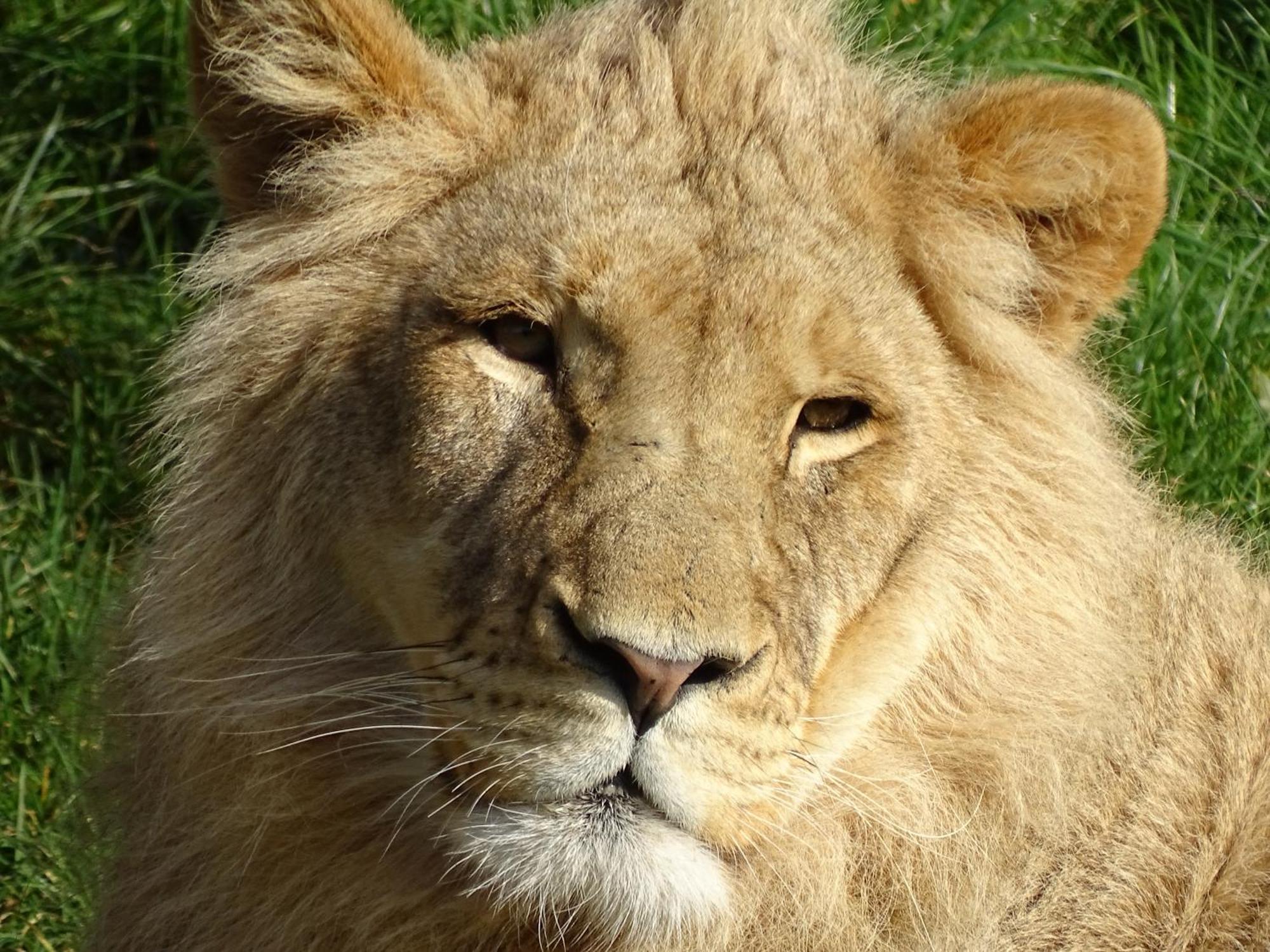 Trainefeuilles - Chambres D'Hotes Proche Zoo De Beauval Le Controis-en-Sologne Esterno foto