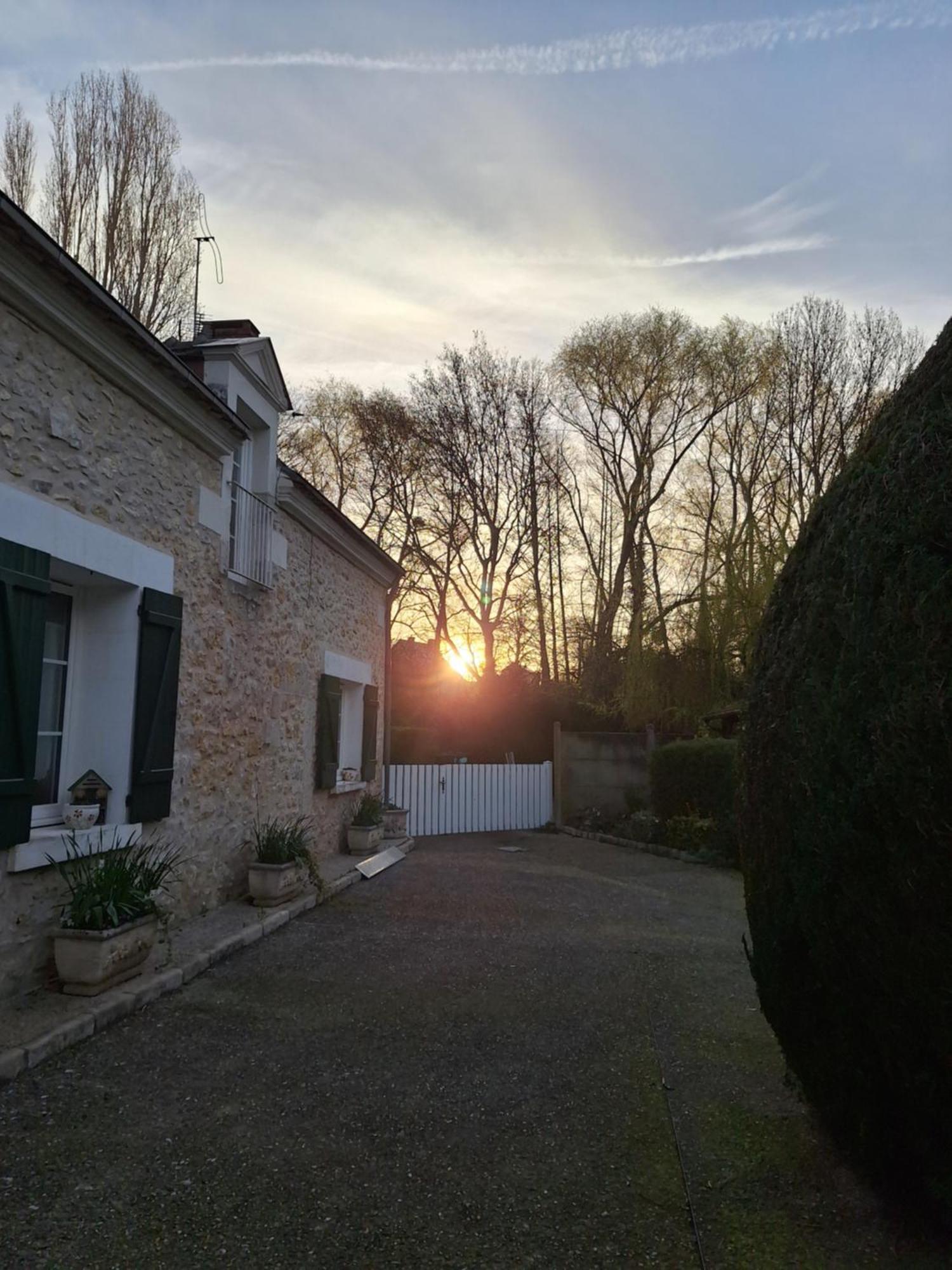 Trainefeuilles - Chambres D'Hotes Proche Zoo De Beauval Le Controis-en-Sologne Esterno foto