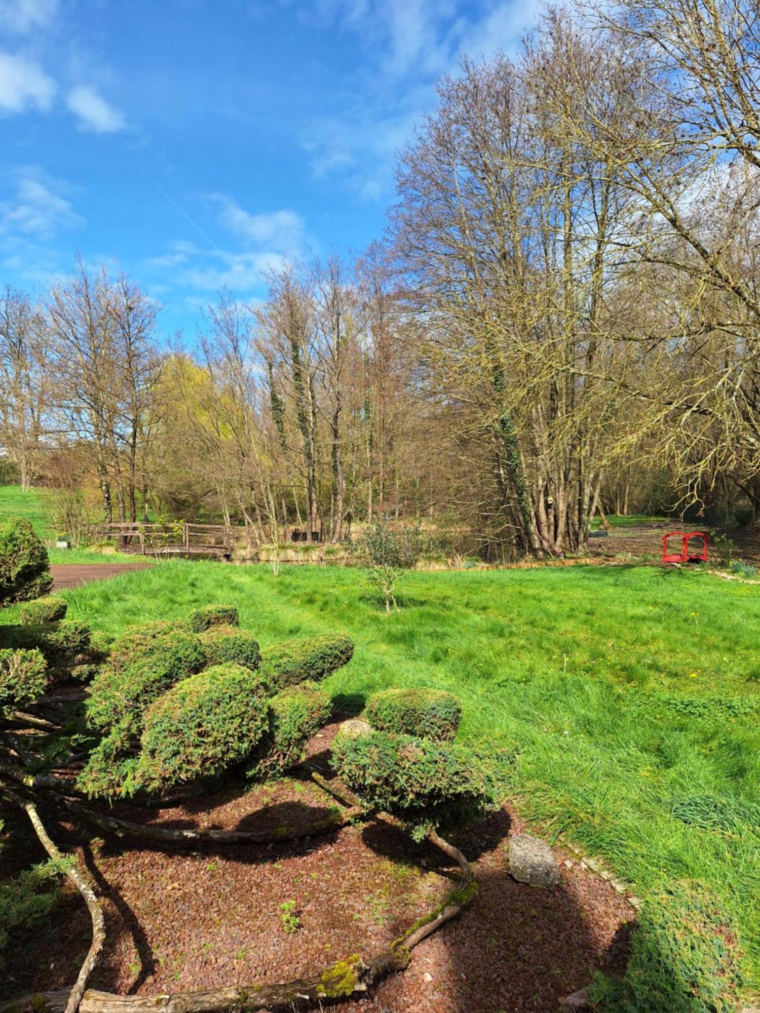 Trainefeuilles - Chambres D'Hotes Proche Zoo De Beauval Le Controis-en-Sologne Esterno foto