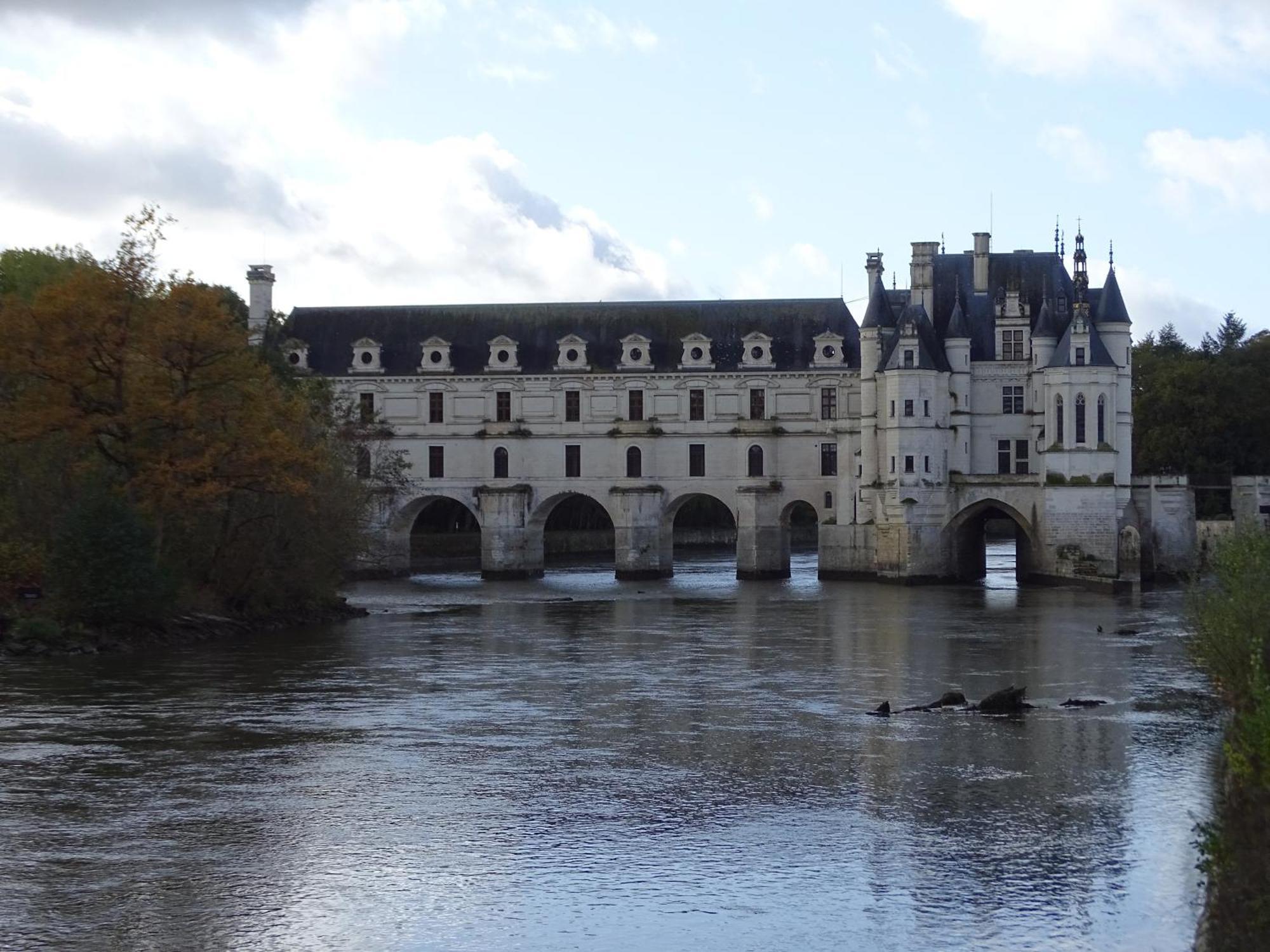 Trainefeuilles - Chambres D'Hotes Proche Zoo De Beauval Le Controis-en-Sologne Esterno foto