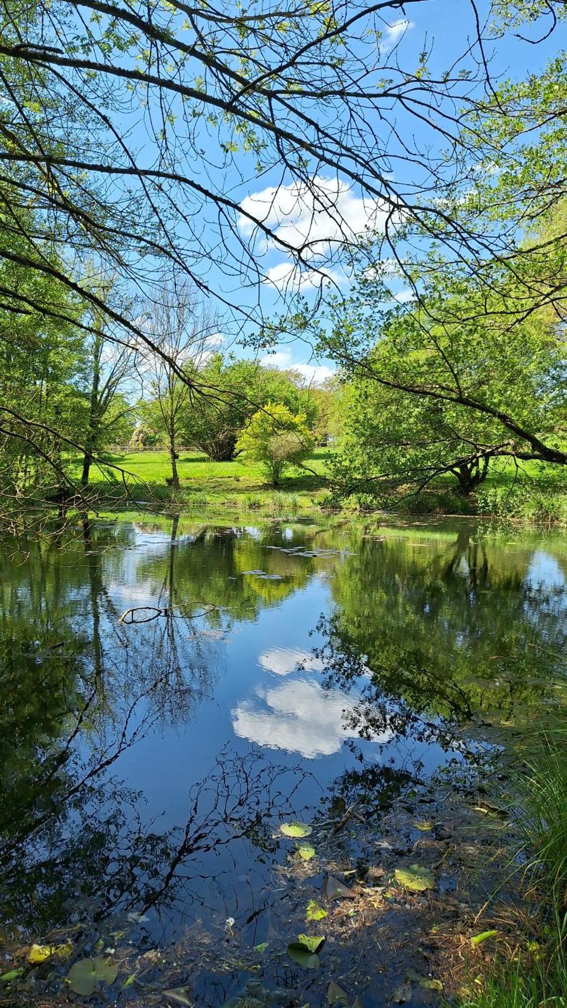 Trainefeuilles - Chambres D'Hotes Proche Zoo De Beauval Le Controis-en-Sologne Esterno foto